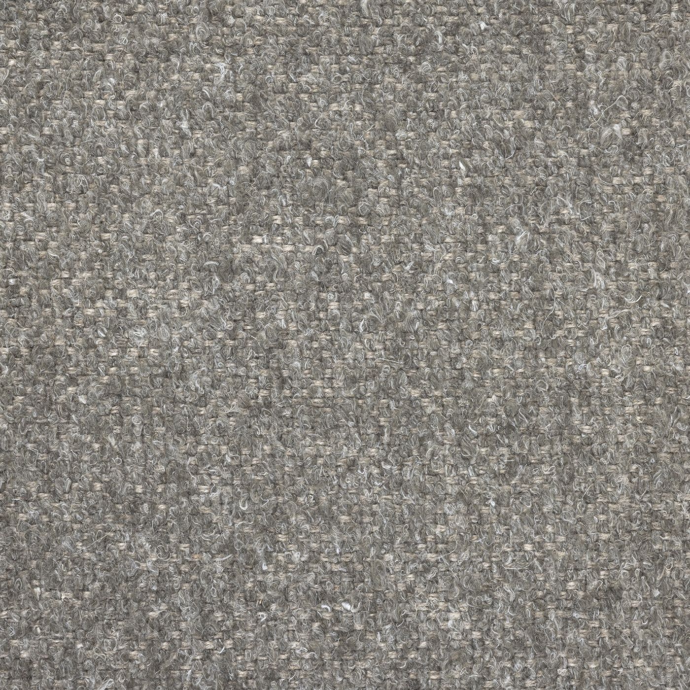 Berber 0011 Barley