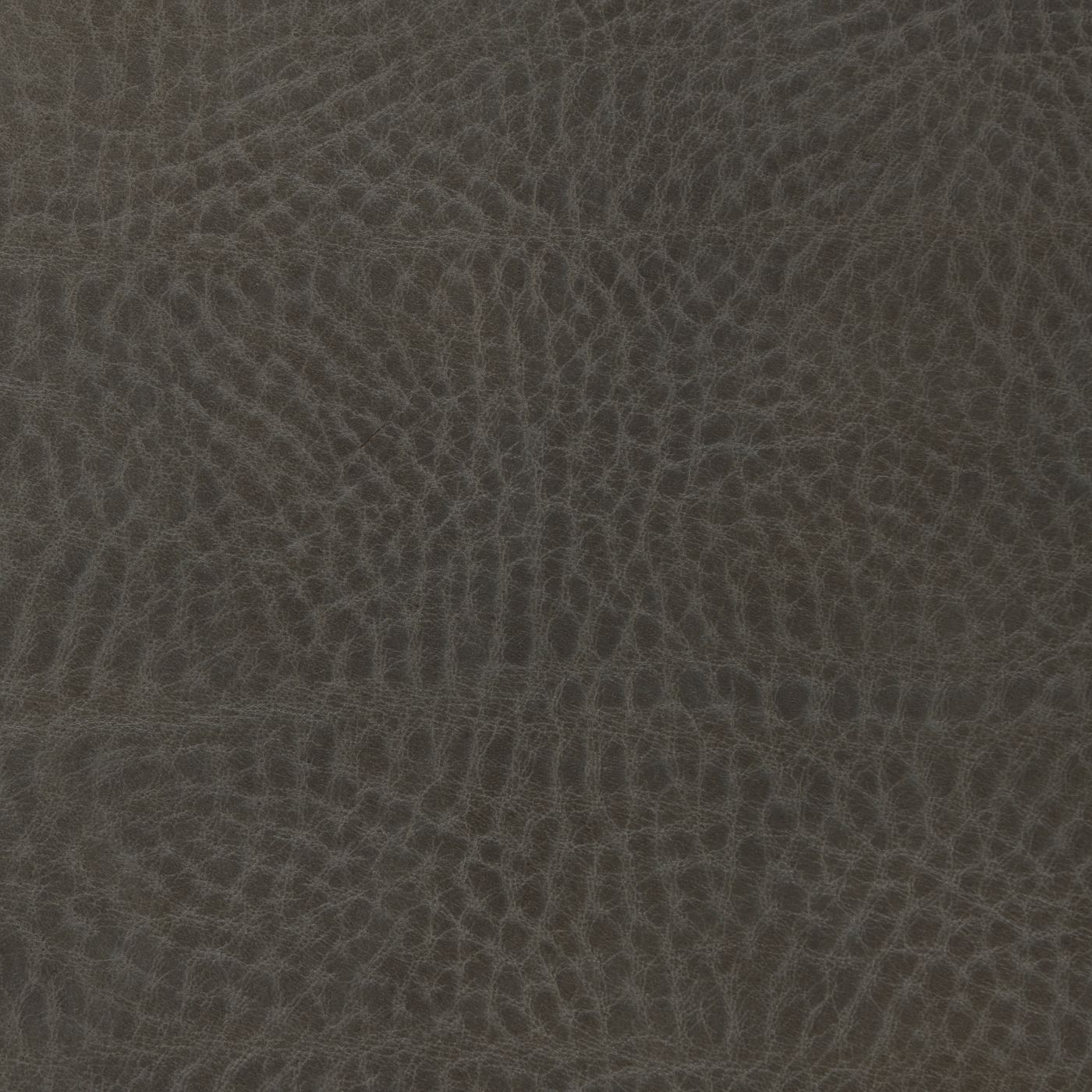 Carolina Pavement