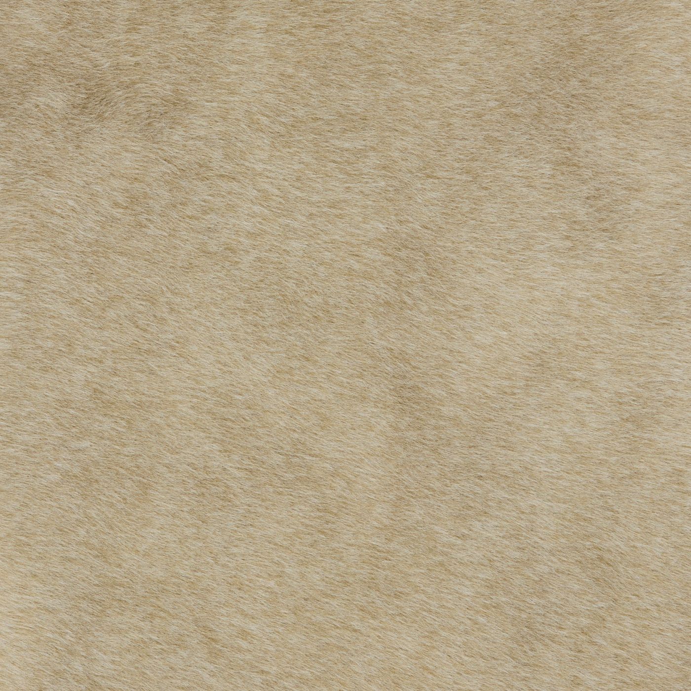 Cashmere Fawn