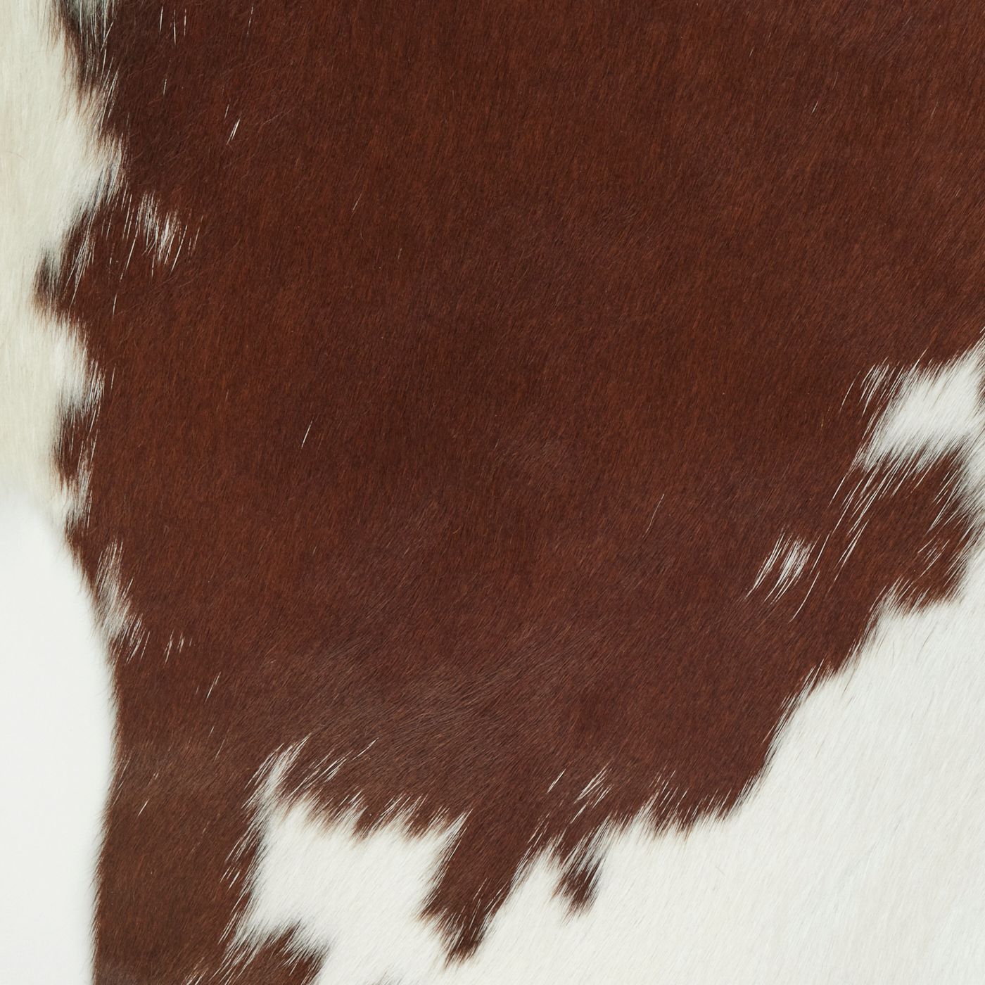 Cloudy Brown & White