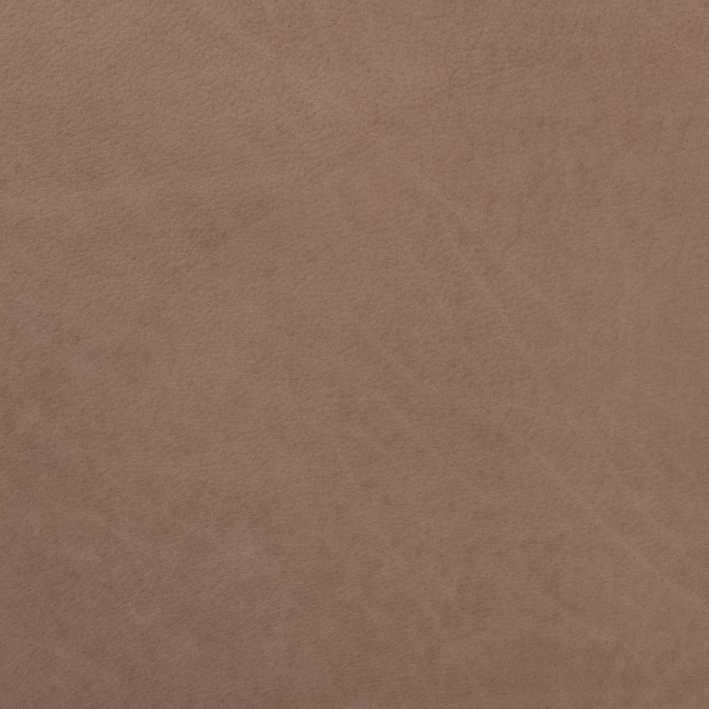 Cuban Dusted Truffle