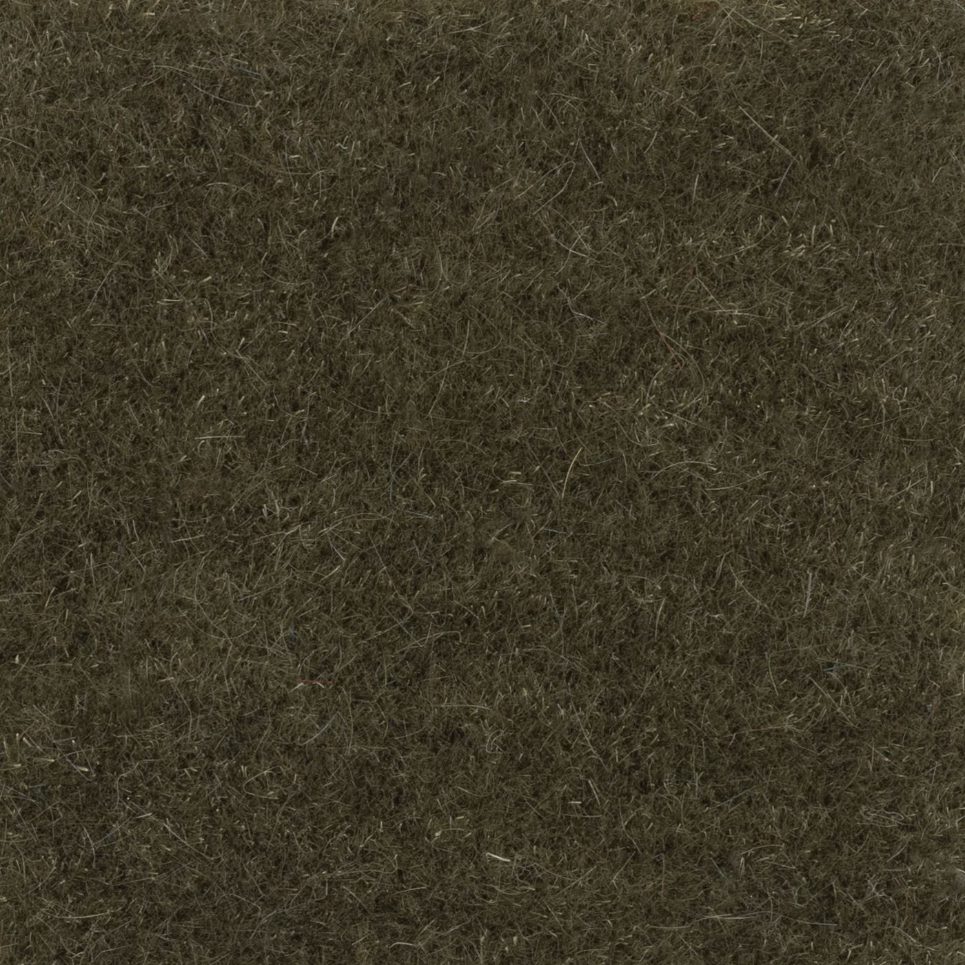 Nevada Bayleaf