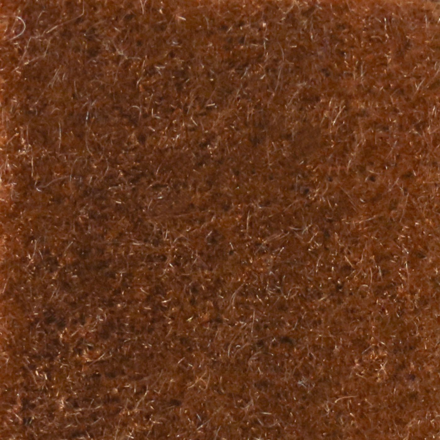 Nevada Cinnamon