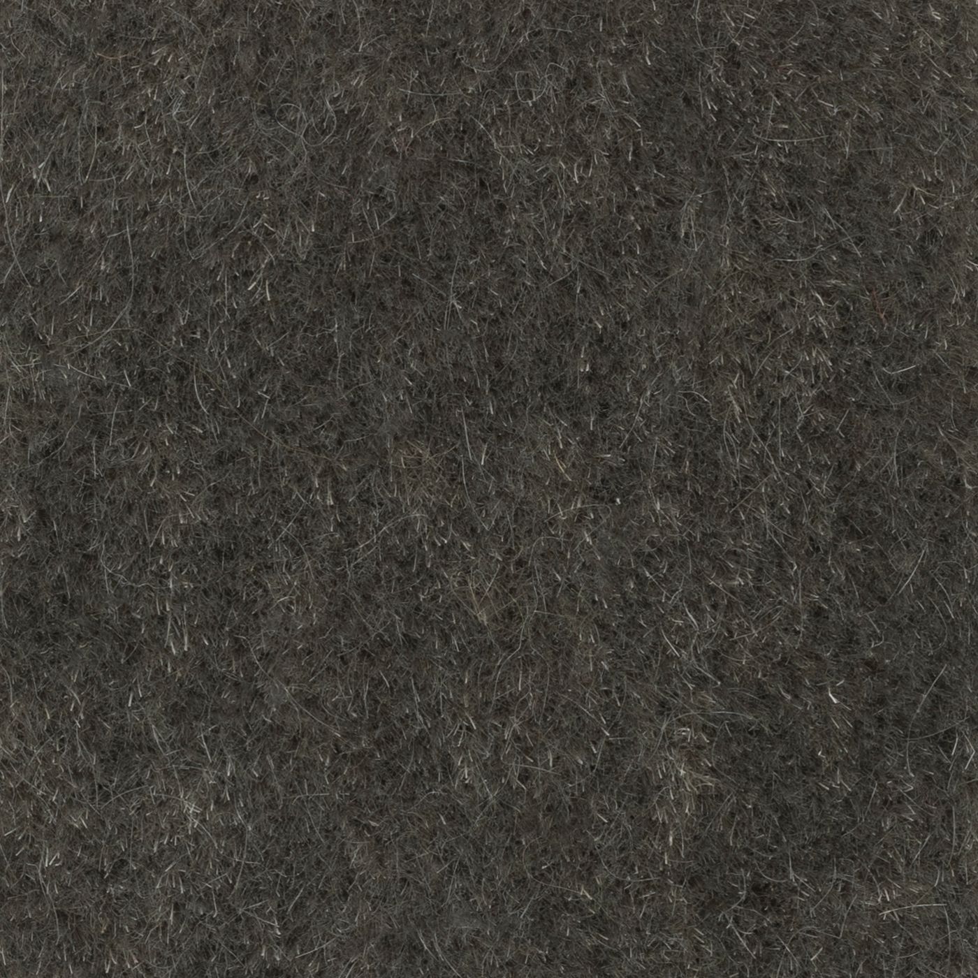 Nevada Pewter