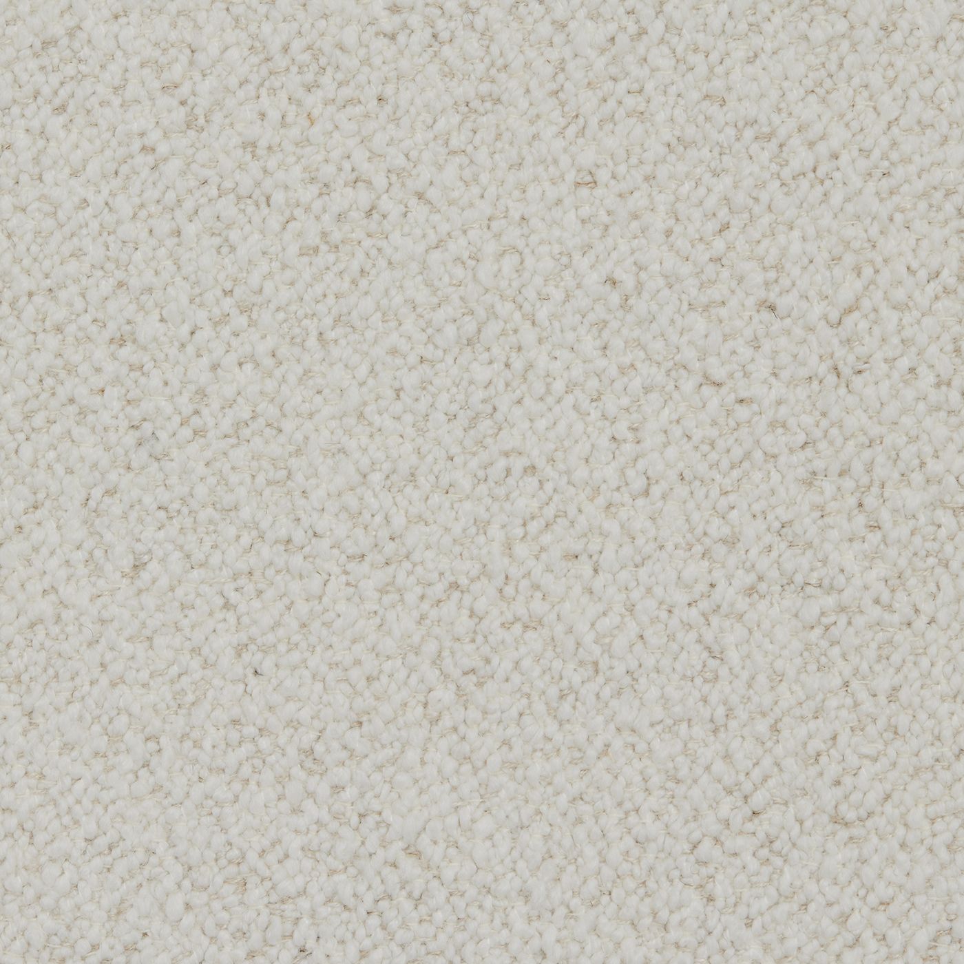 Orsetto Cream