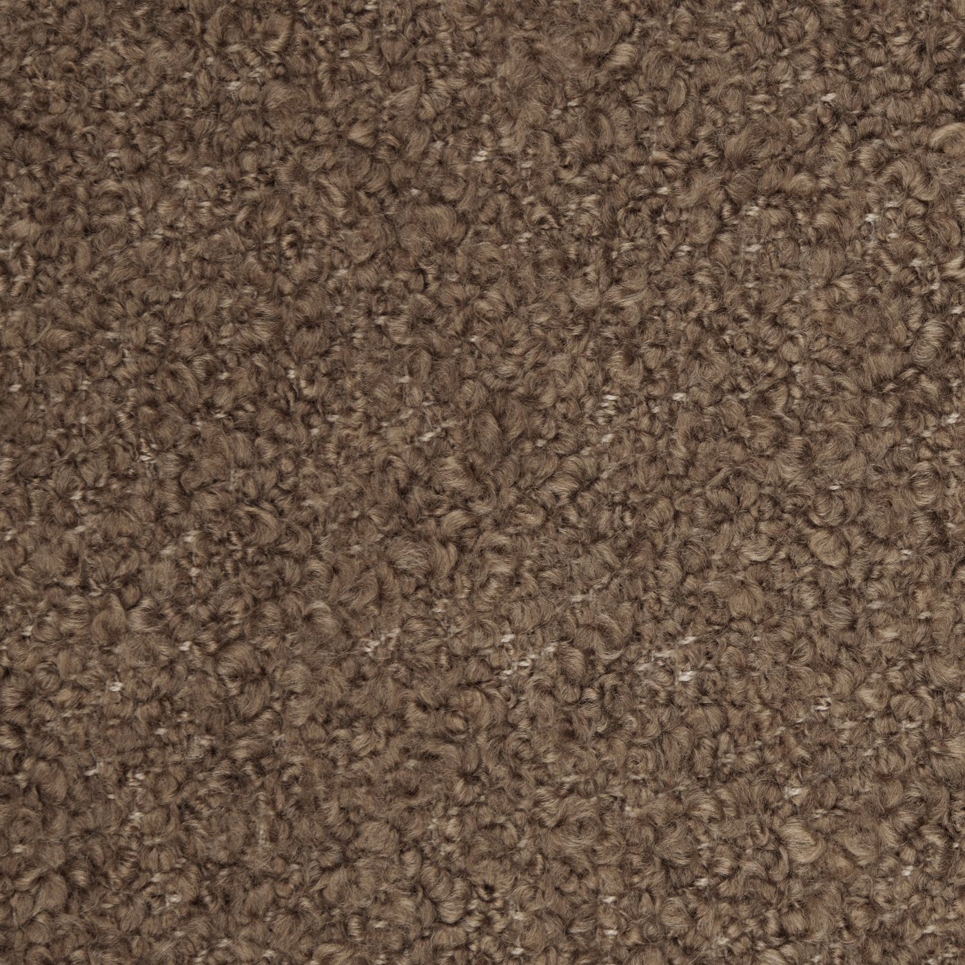 Revival Walnut