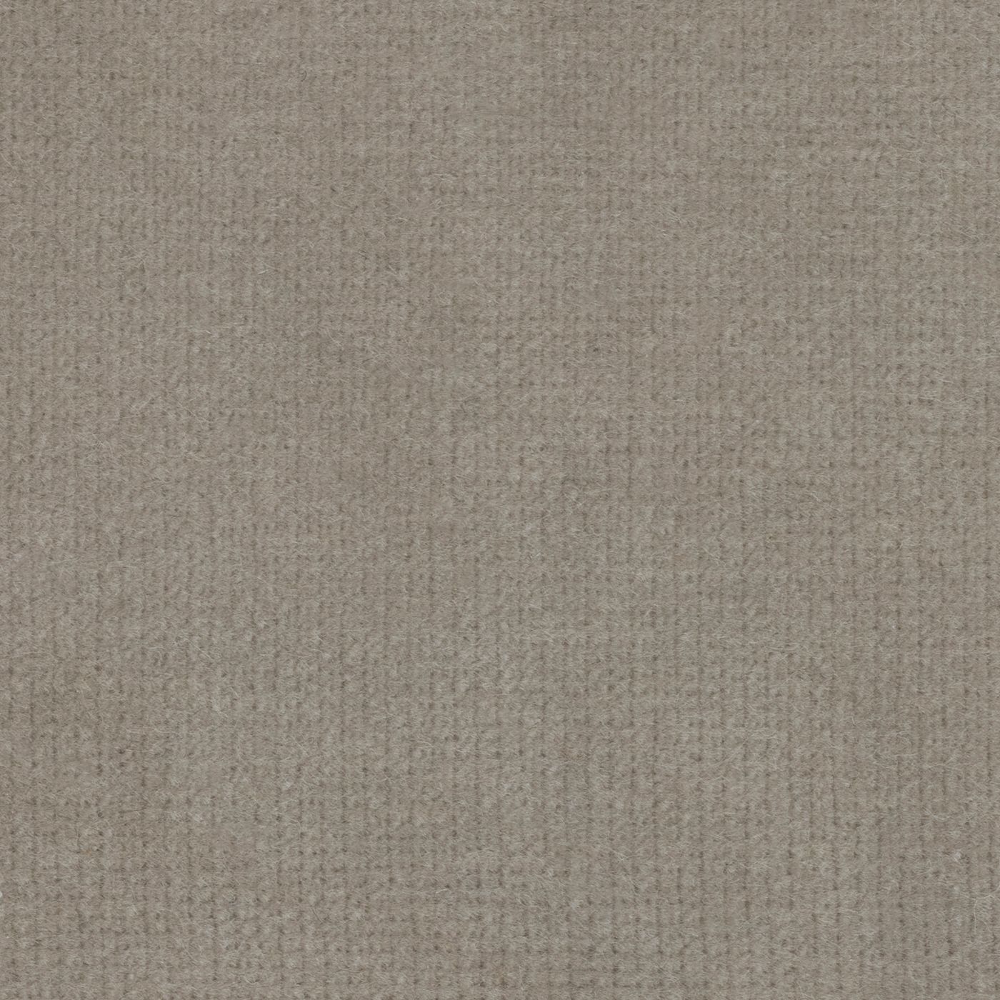 Windsor Flax