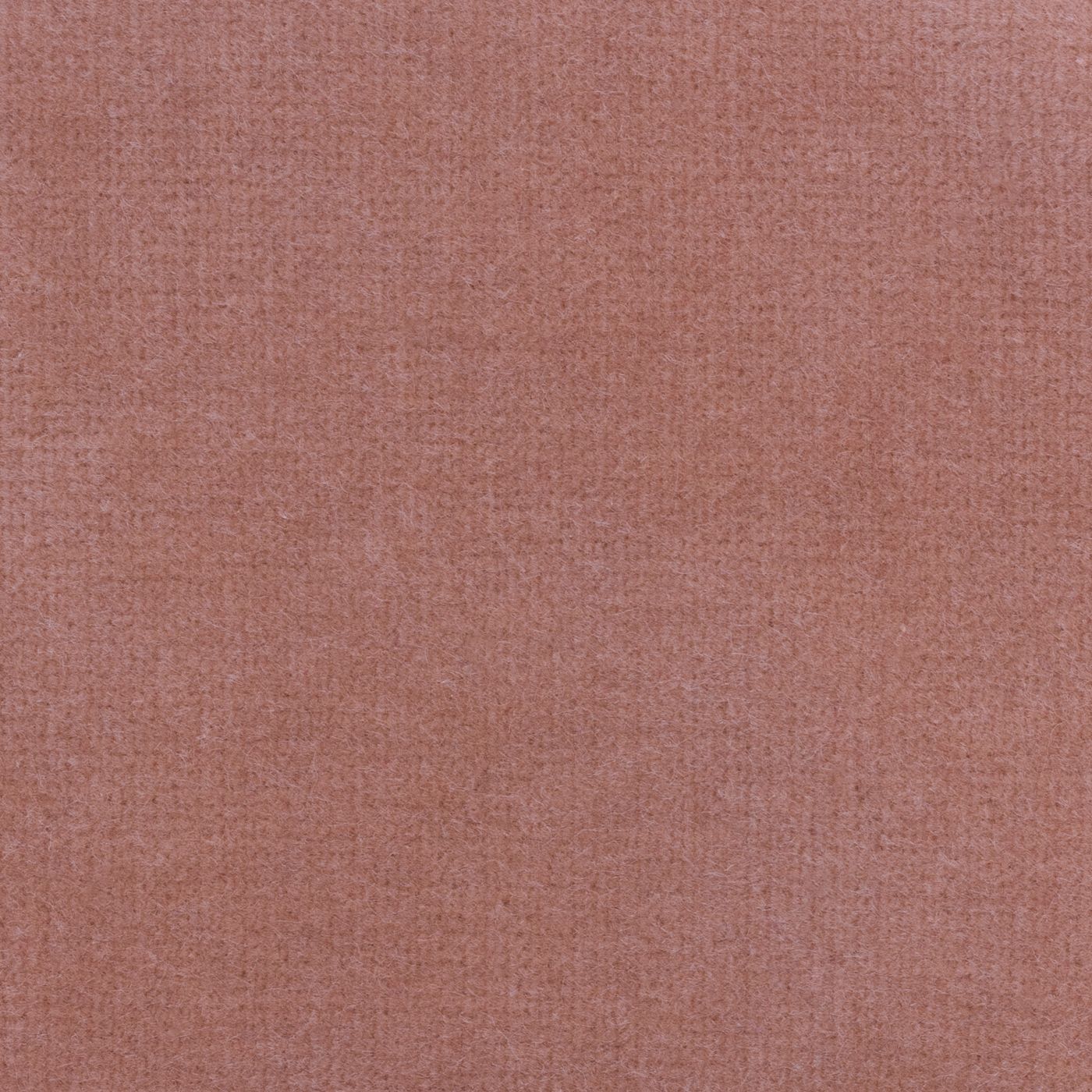Windsor Coral