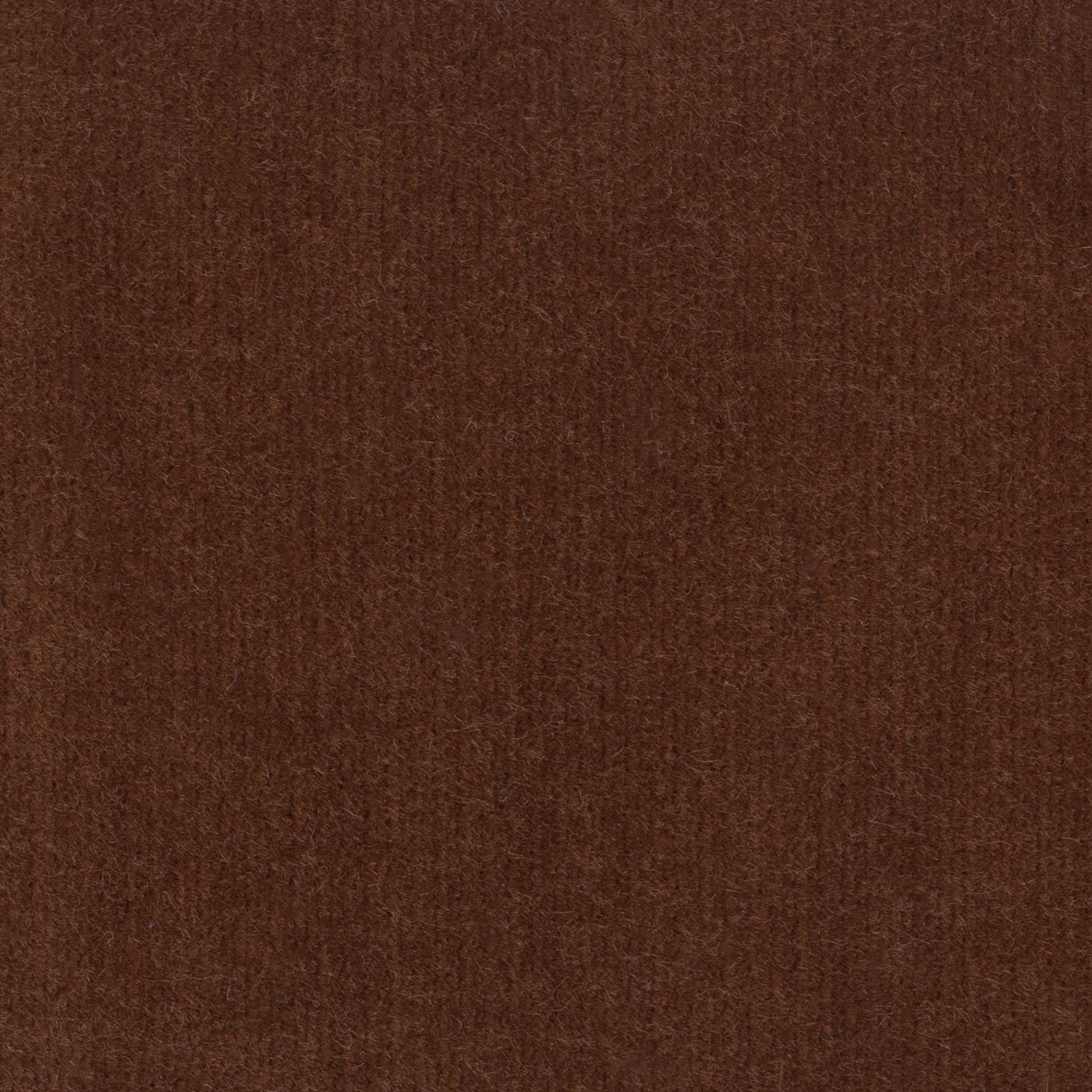 Windsor Chestnut