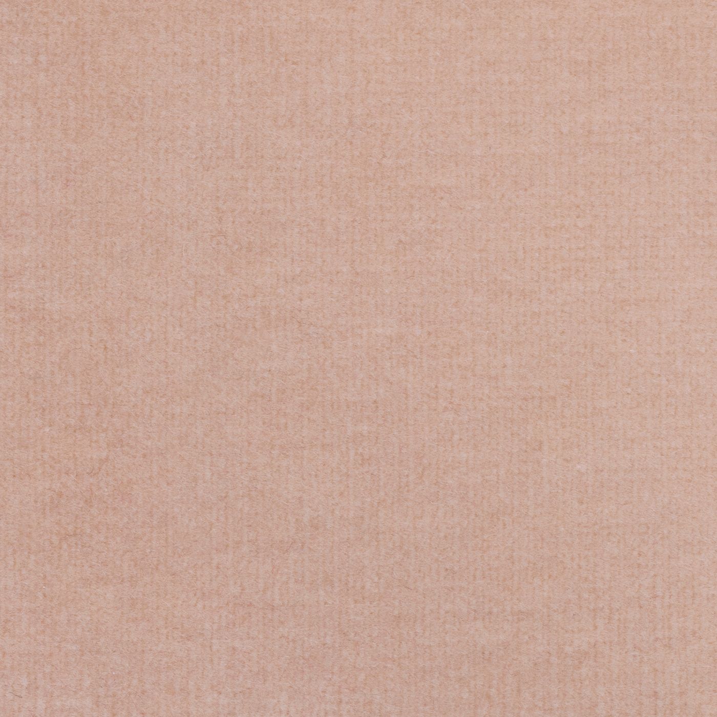 Windsor Rose Petal