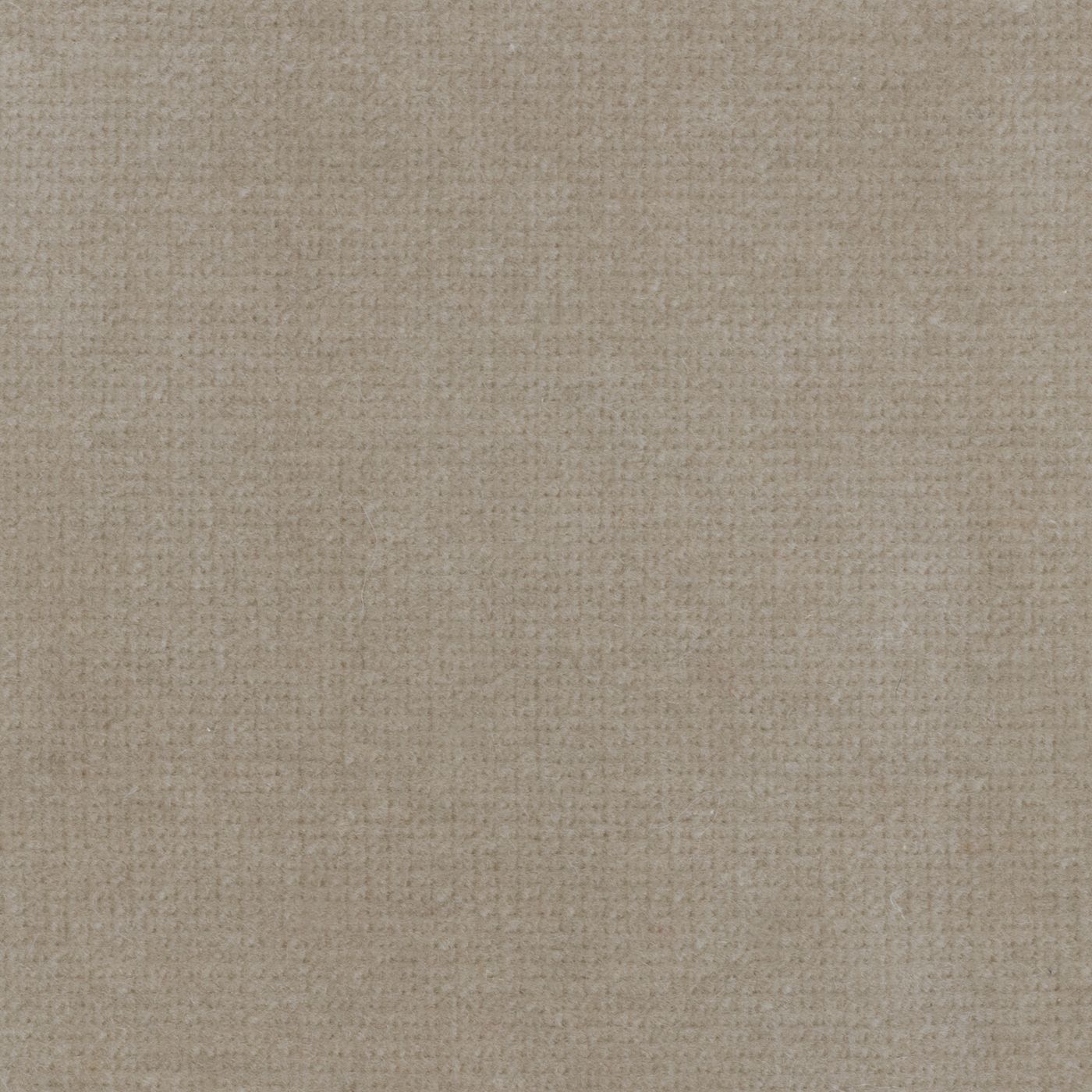 Windsor Beige