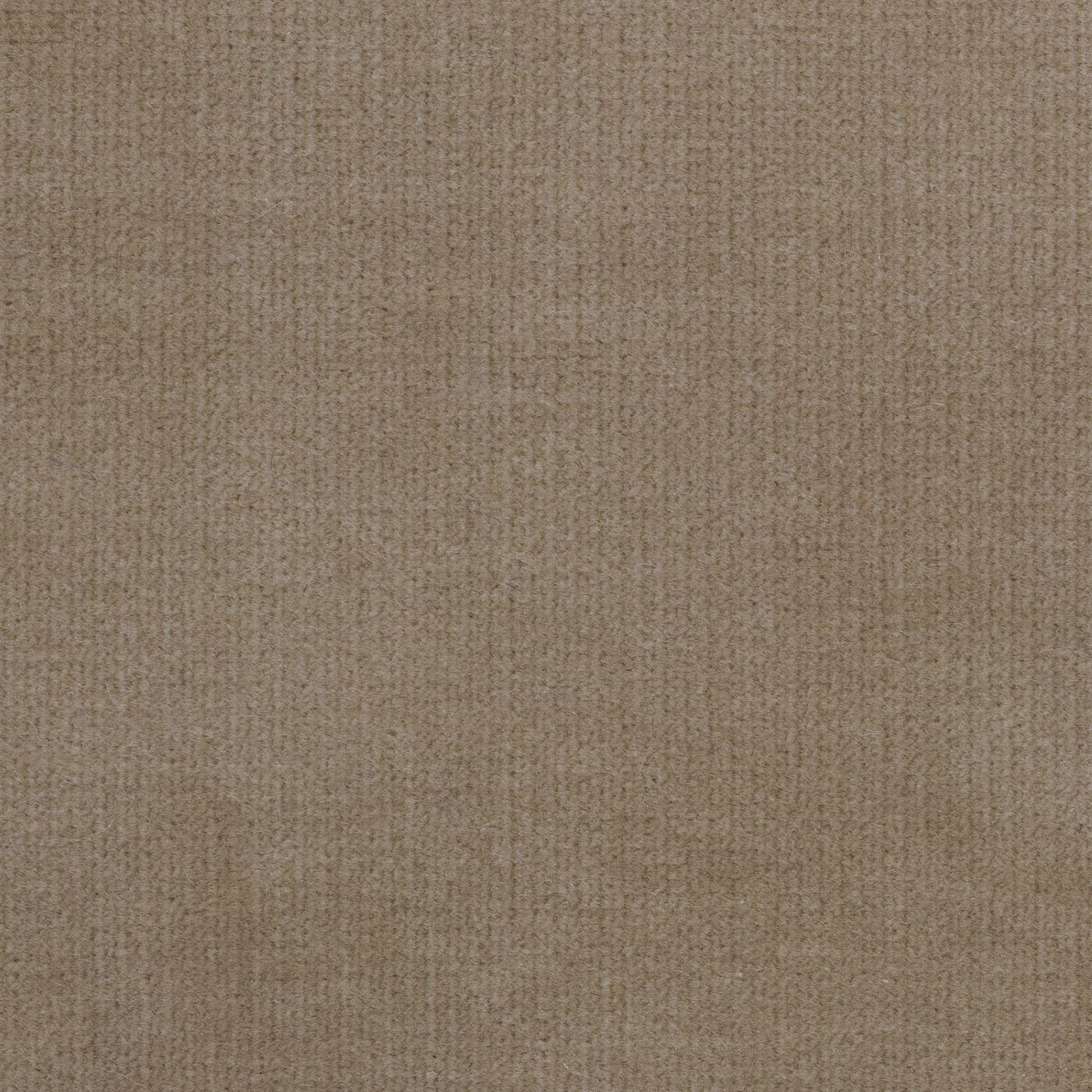 Windsor Sand