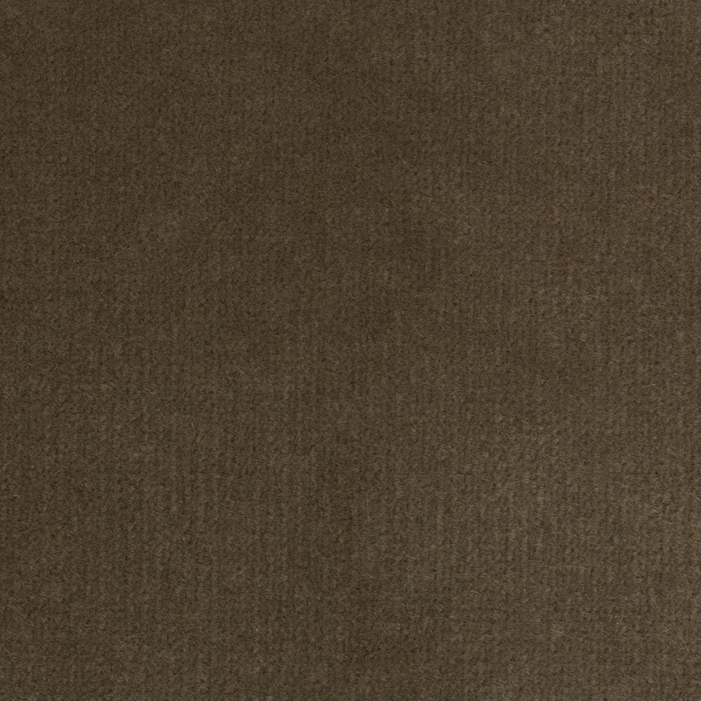 Windsor Mocha