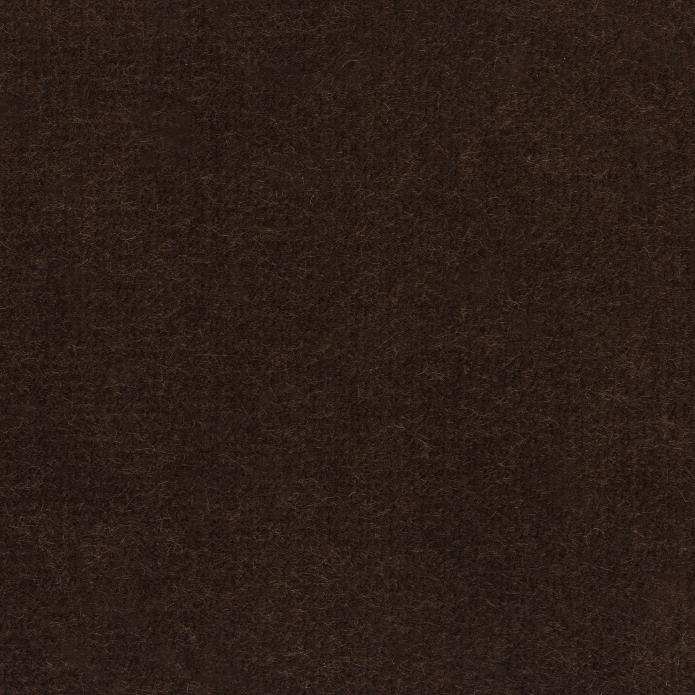 Windsor Cocoa