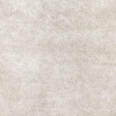 Allure 4004 Champagne