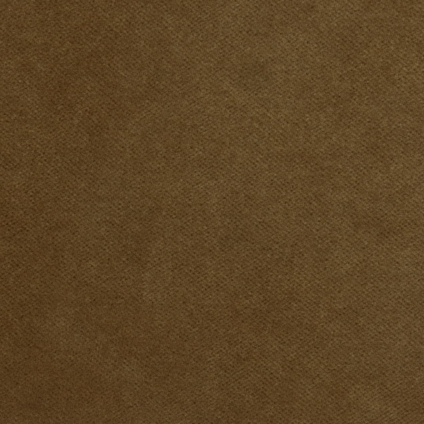 Banks_Ochre.jpg