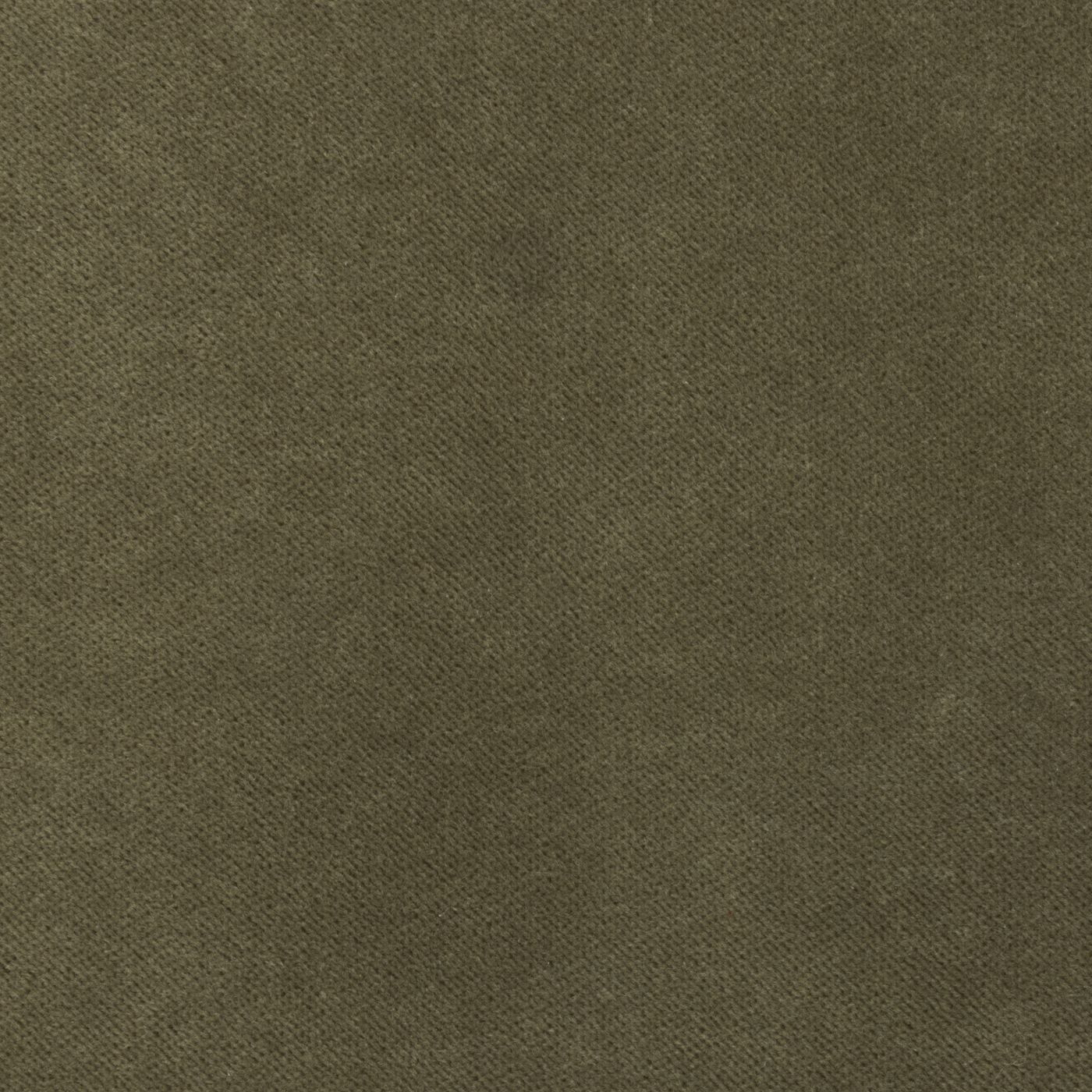Banks_Olive.jpg