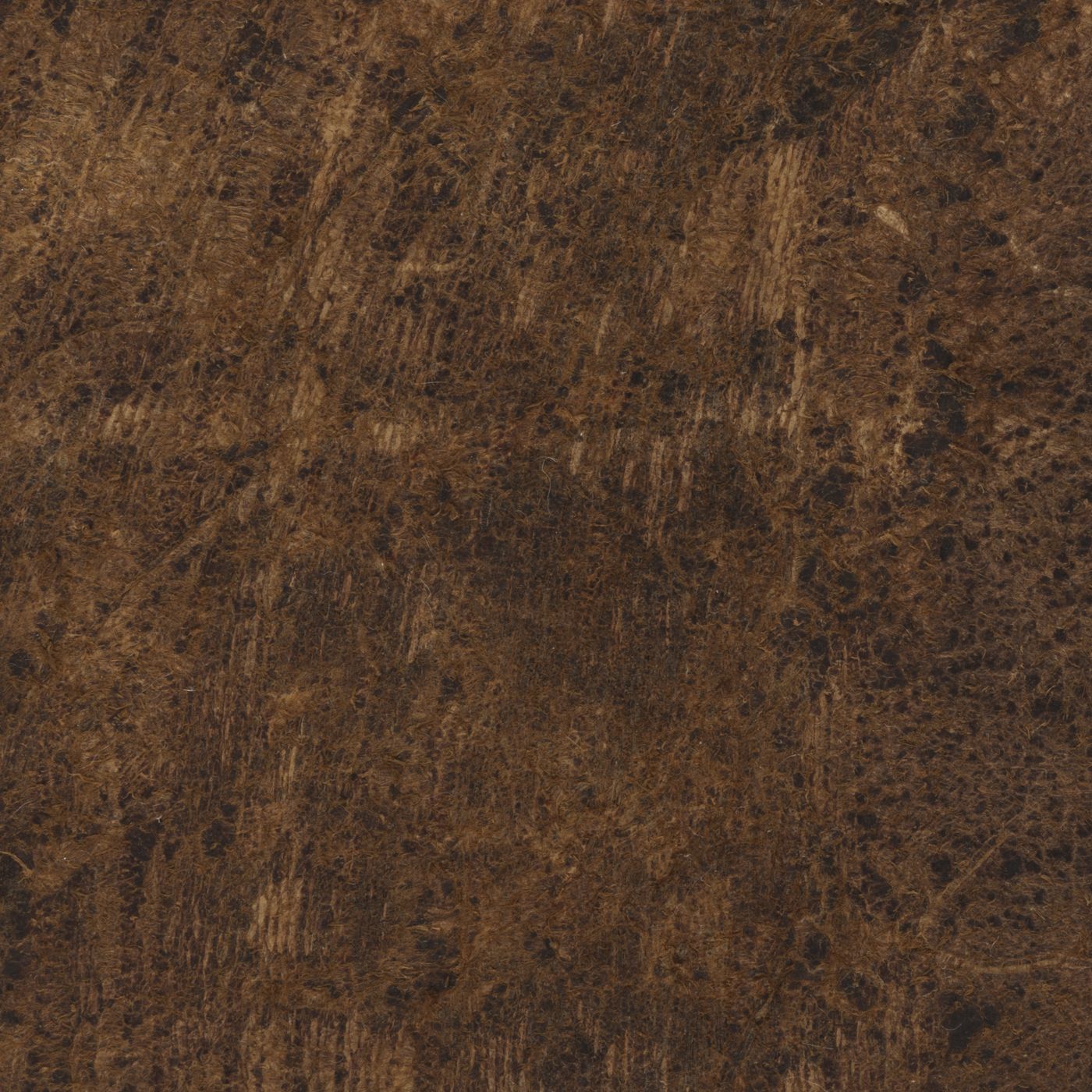 Bethel_Nutmeg_1400.jpg