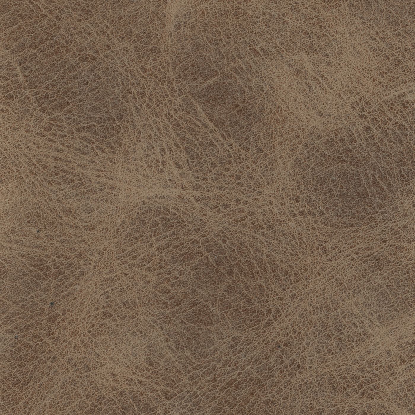 Burnham_Beige_1400.jpg