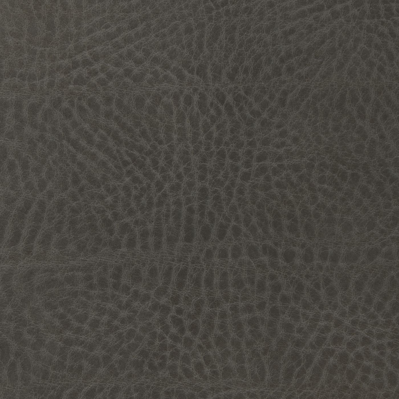 Carolina_Pavement_1400.jpg