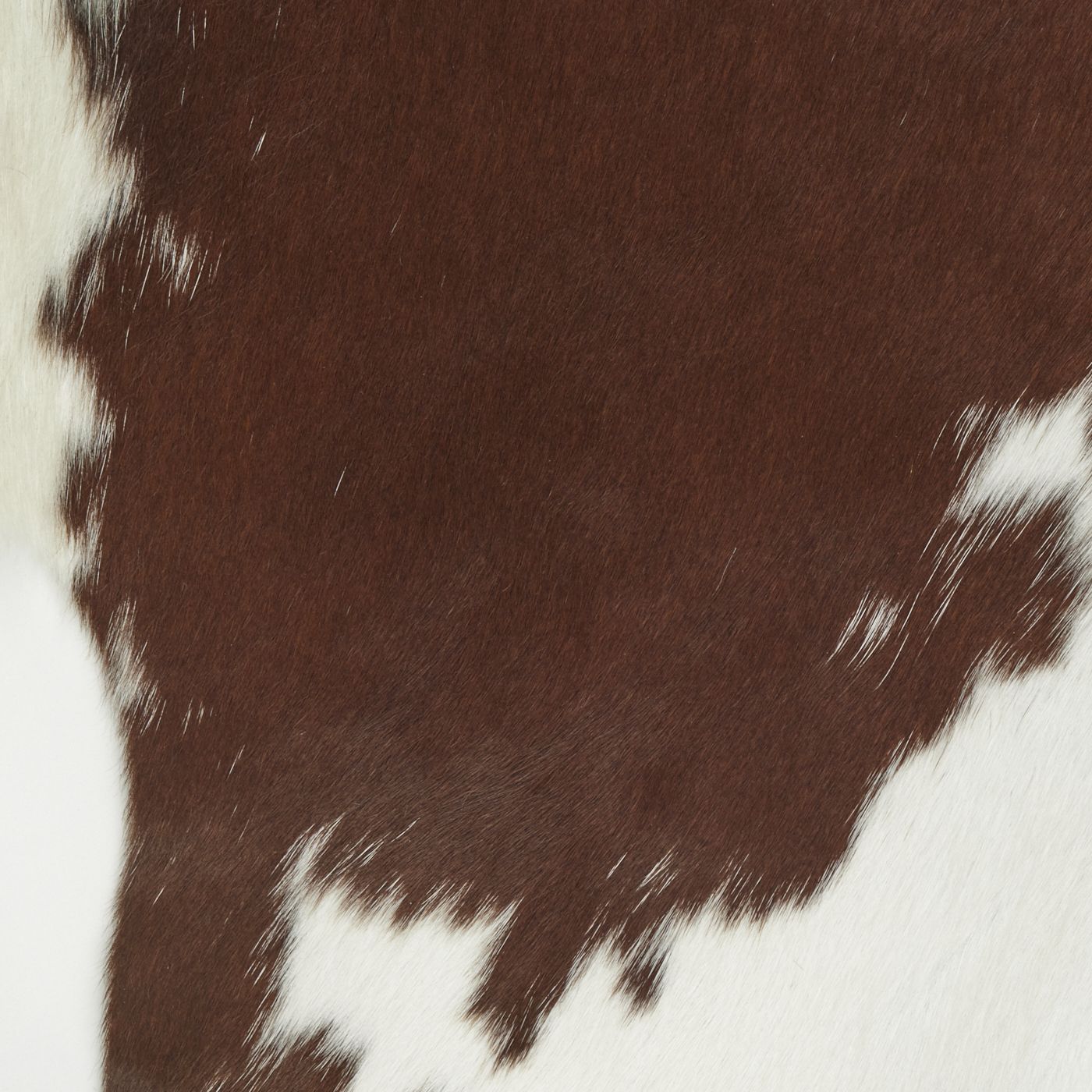Cloudy_BrownandWhite_1400.jpg