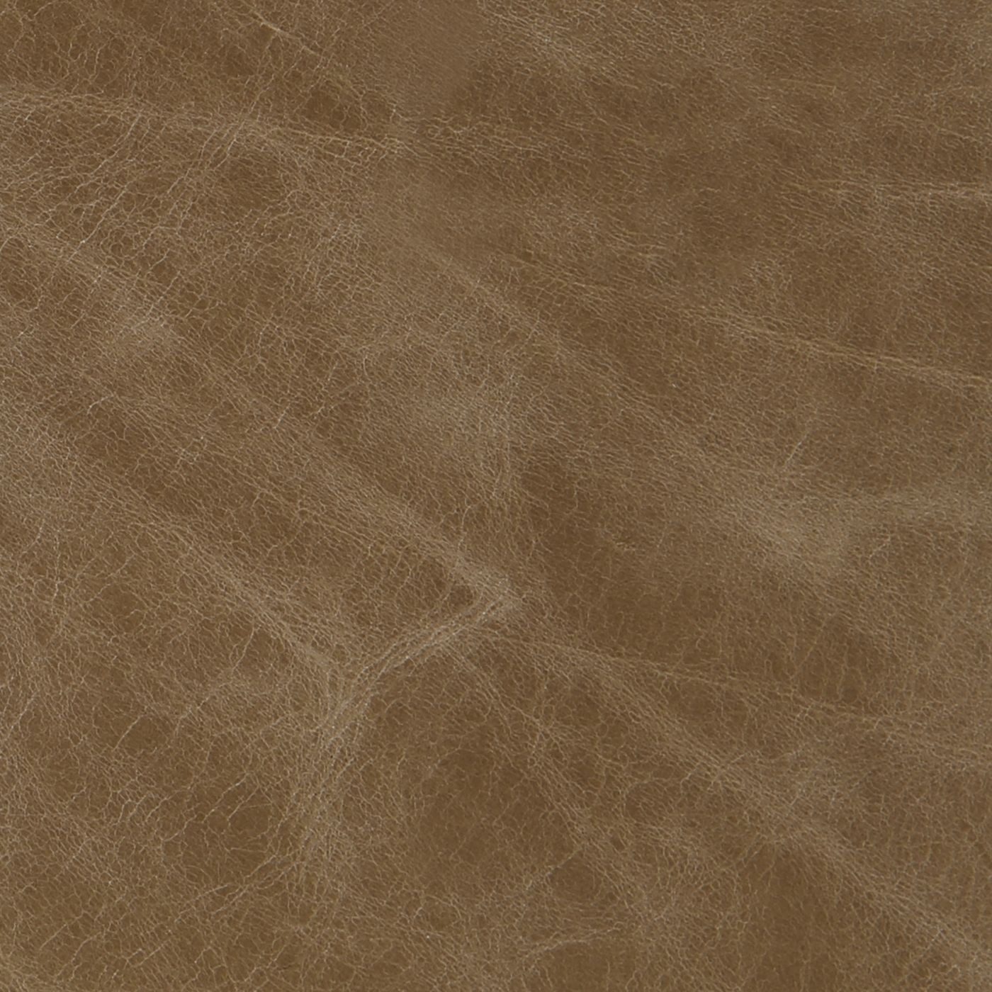 Crystal_Mustard_1400.jpg