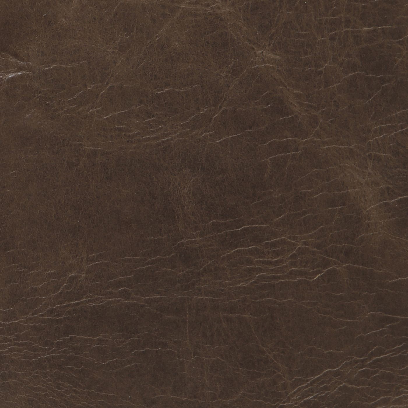 Echo_Umber_1400.jpg