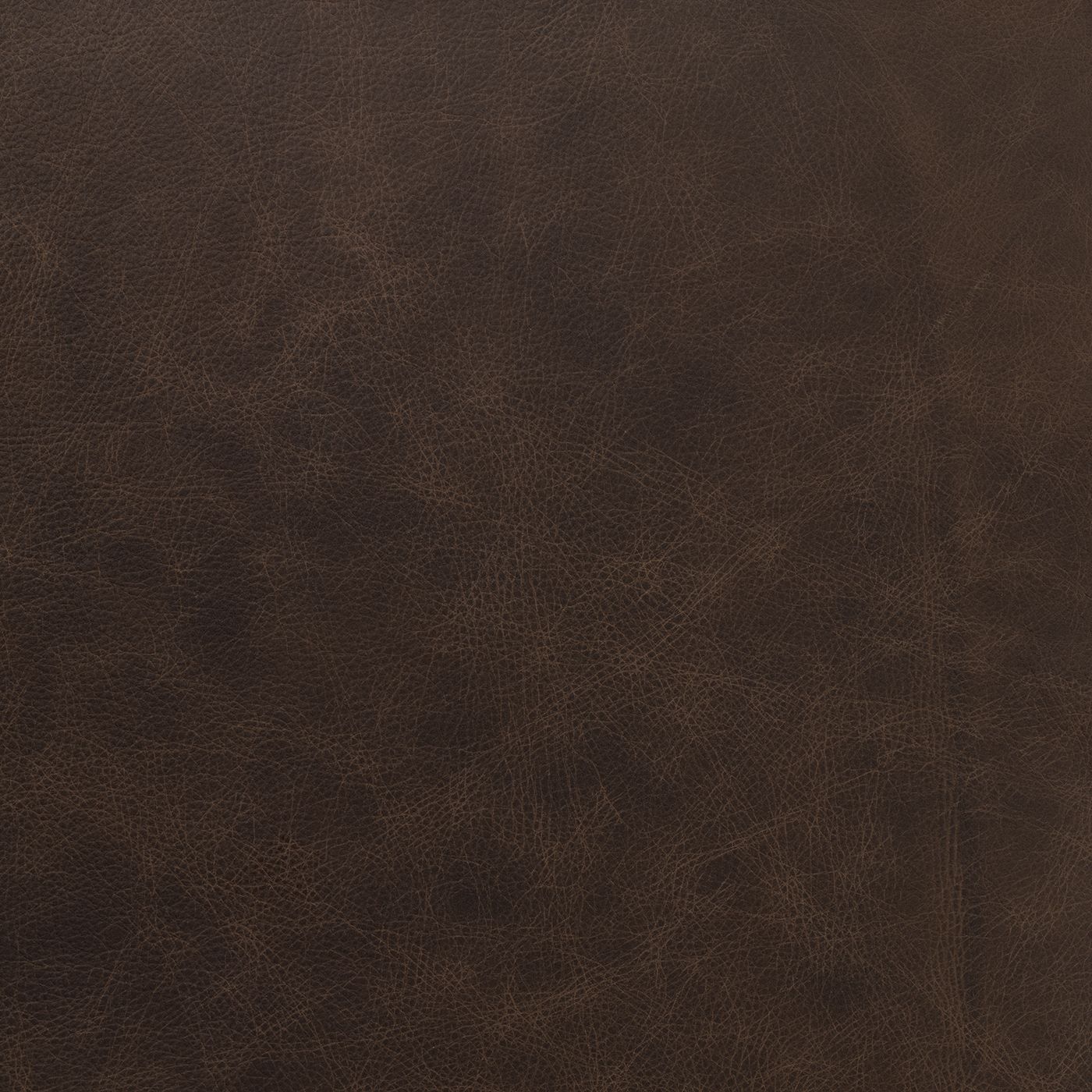 El_Paso_Brown_1400.jpg