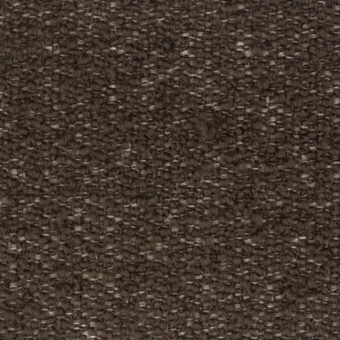 Moray_0015_Coffee_1400.jpg