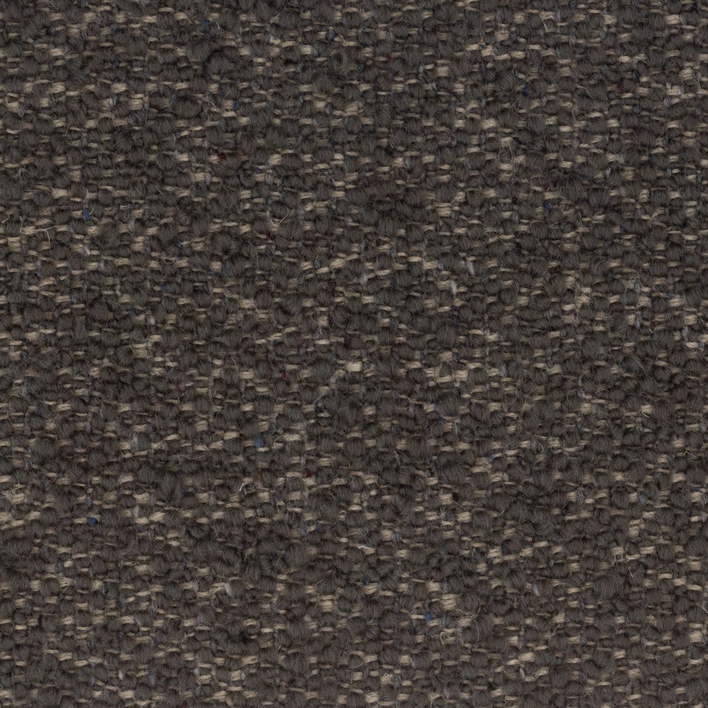 Moray_0017_Charcoal_1400.jpg