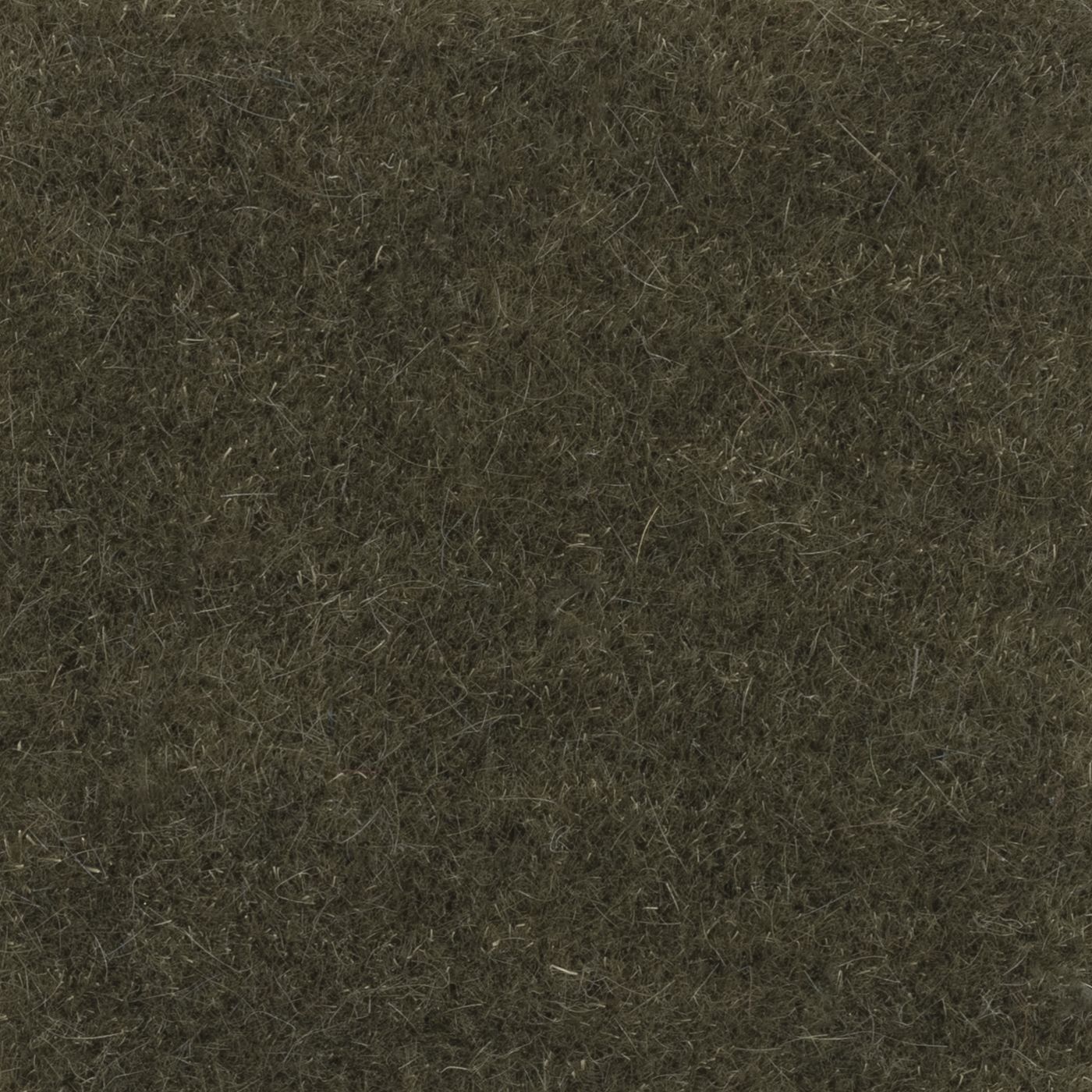 Nevada_Bayleaf.jpg
