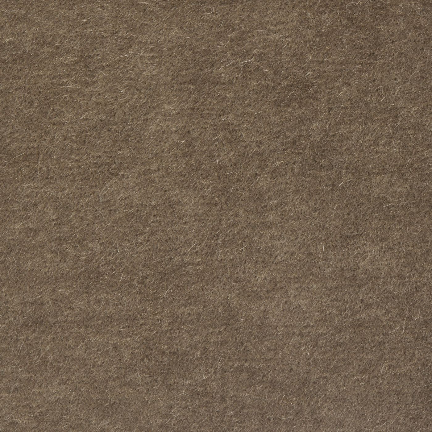 Nevada_Mink_1400.jpg