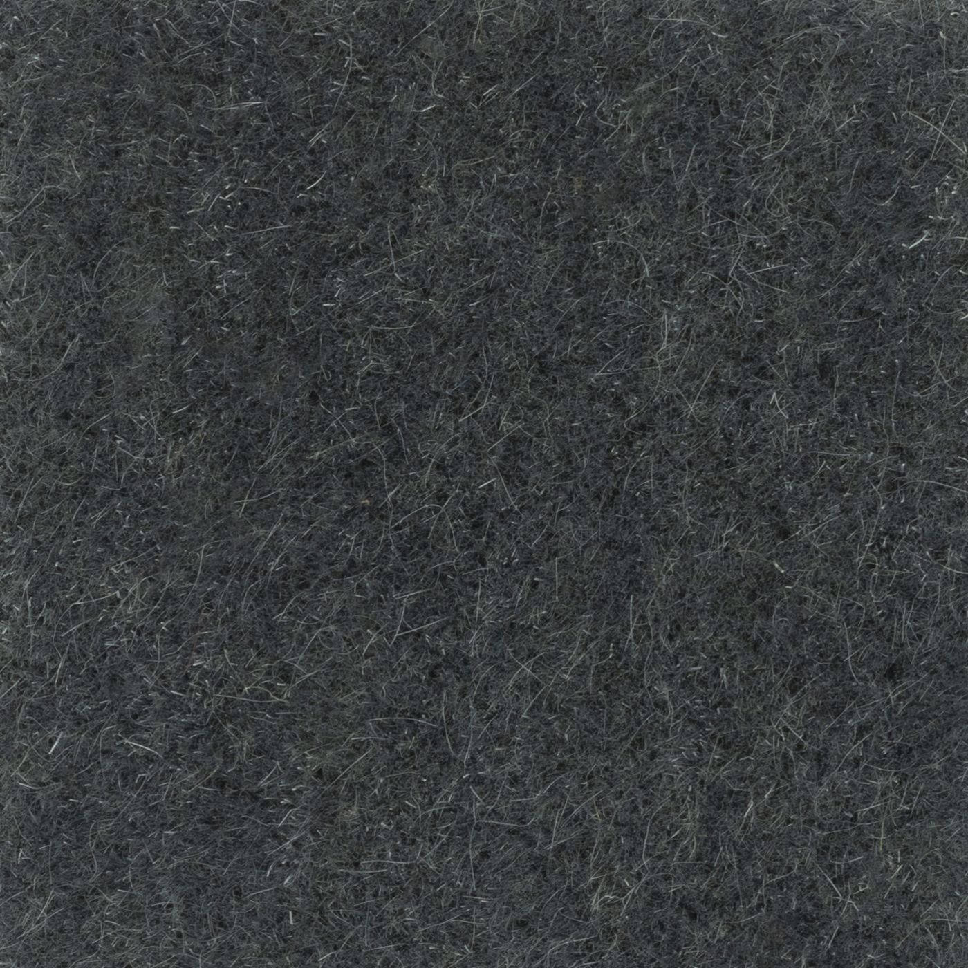 Nevada_Sharkskin.jpg