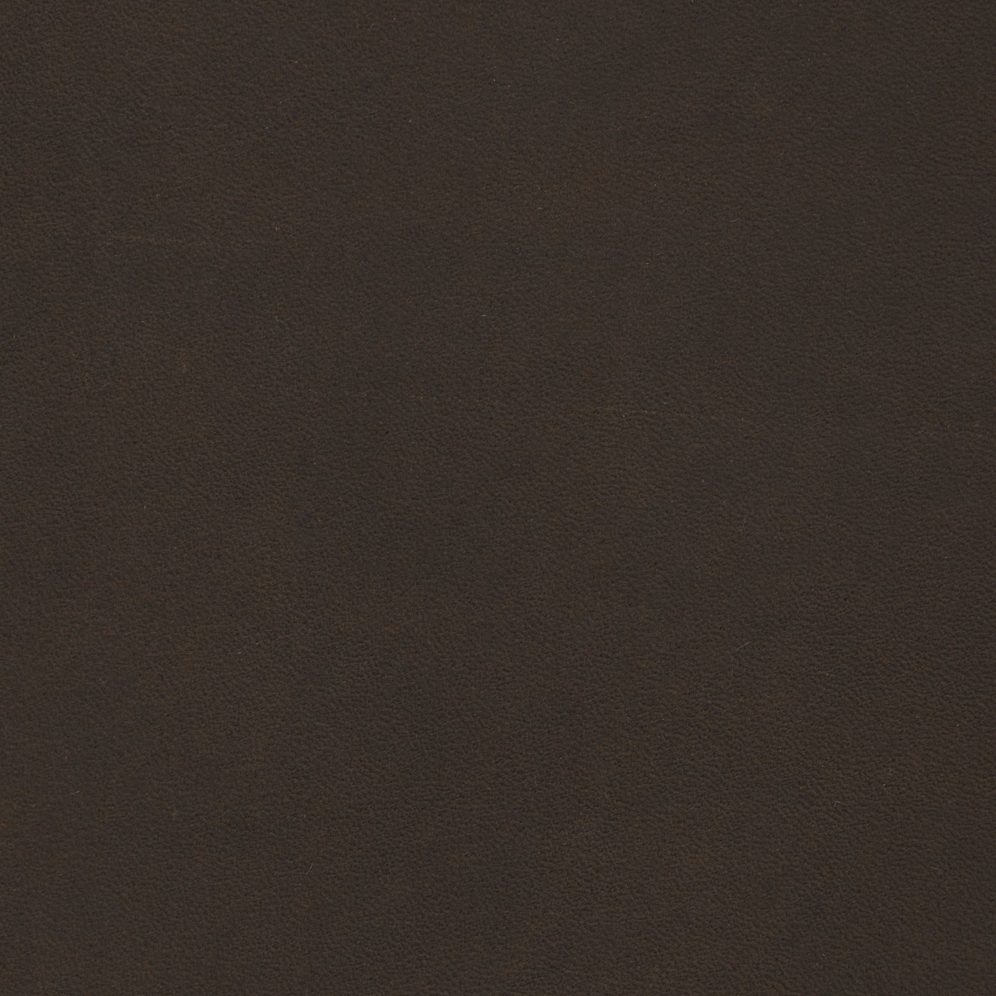 Nobuck_Coffee_1400.jpg