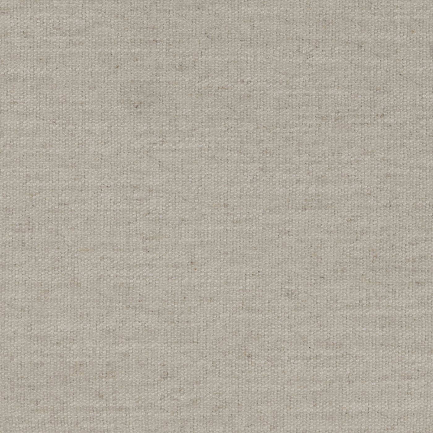 Willow_Alpaca.jpg
