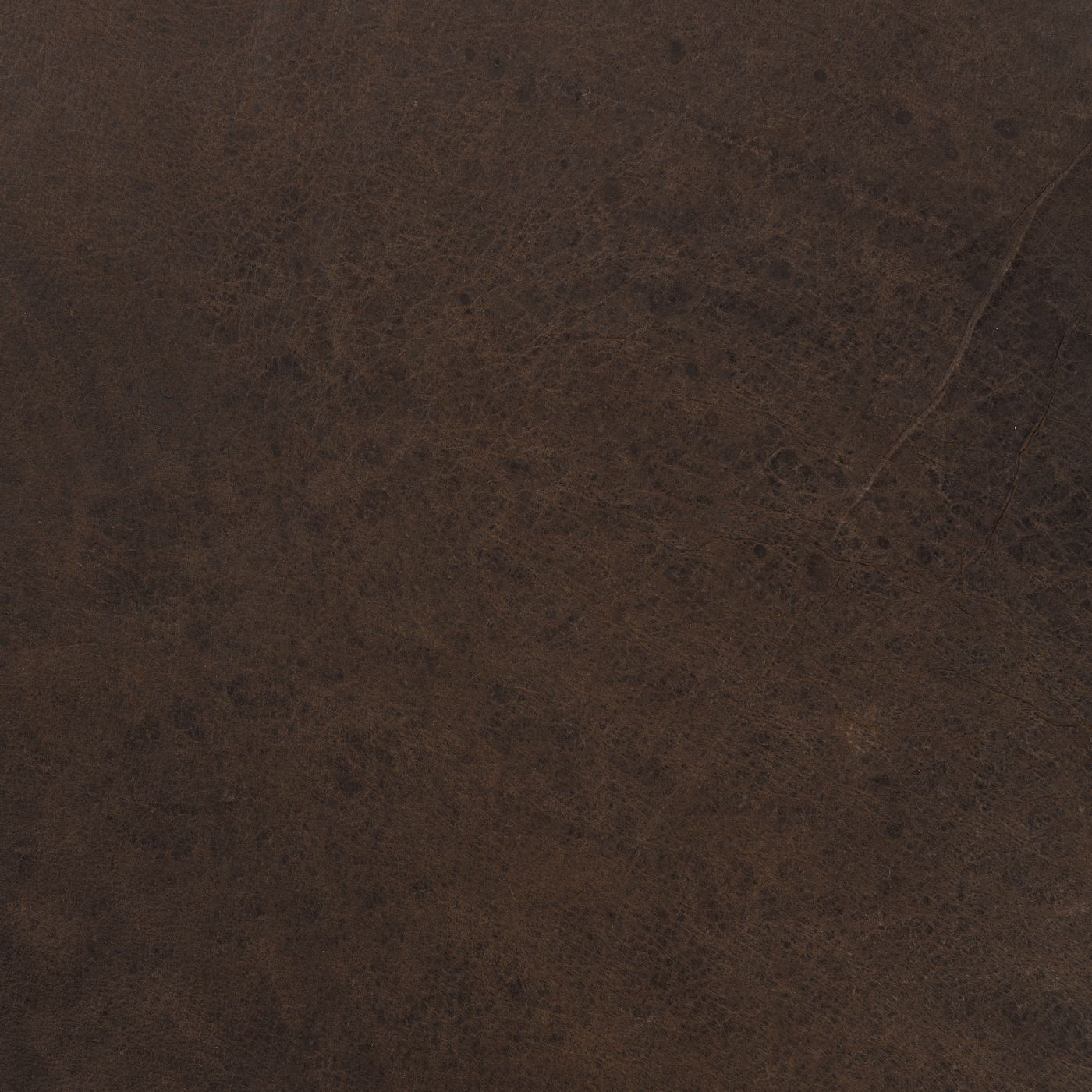 Winchester_Coffee Bean_1400.jpg